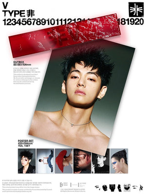 V - [TYPE 非] ENSEMBLE D'AFFICHES