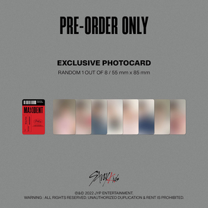 STRAY KIDS - MAXIDENT (CASE Ver.) (Version aléatoire)