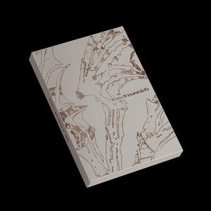 ENHYPEN - 7th Mini Album THE SIN : VANISH (FORBIDDEN Ver. / AFTERLIGHT Ver. / STORM Ver.) Random