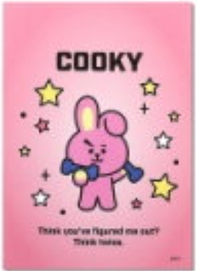 Memo Pad List Cooky