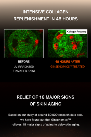 Sulwhasoo Concentrated Ginseng Rejuvenating Emulsion 125ml