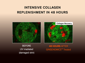 Sulwhasoo Concentrated Ginseng Rejuvenating Water 150ml