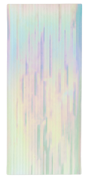 ShineBNailSticker-NailDecoLine-HologramSilver