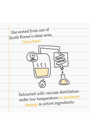 Rovectin Vita Dark Spot Serum 30ml